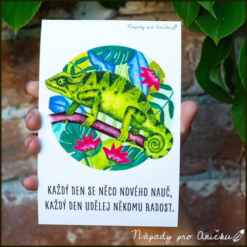 Kartička/pohled pro radost - chameleon