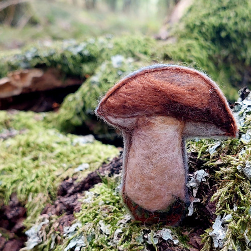 Rostou! — foto 1