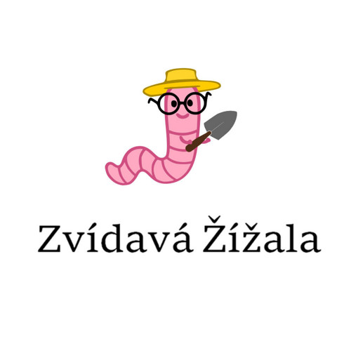 Grafický návrh loga — foto 1