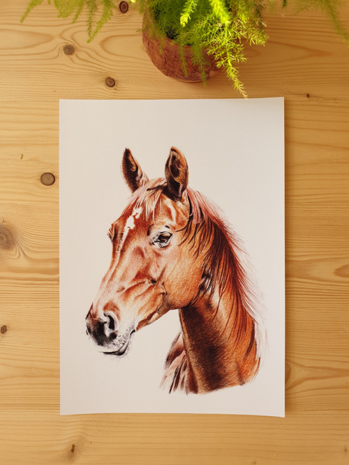 Print: Kúň v hnědém
