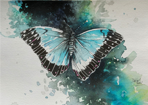 Motýl Morpho peleides / originální akvarel Dlabal