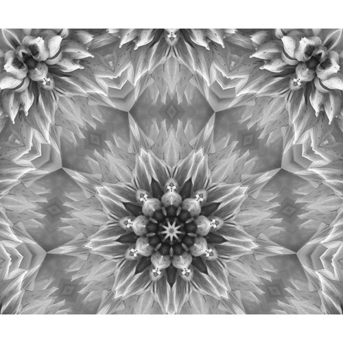 Kočárkovina 30x25 Mandala černobílá — foto 1