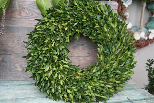 Věnec z buxusu (průměr 37-39cm)