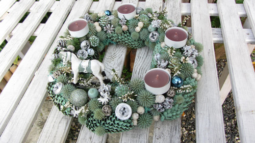 Mentolový exotický Advent — foto 1