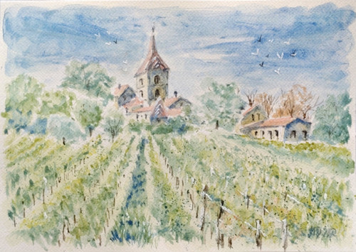 Vinice — foto 1