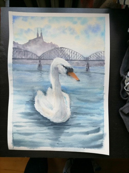 Obraz Labuť