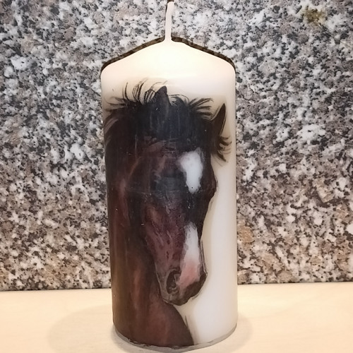Kůň