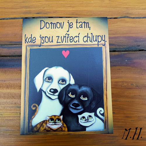 Domov je tam, kde jsou zvířecí chlupy