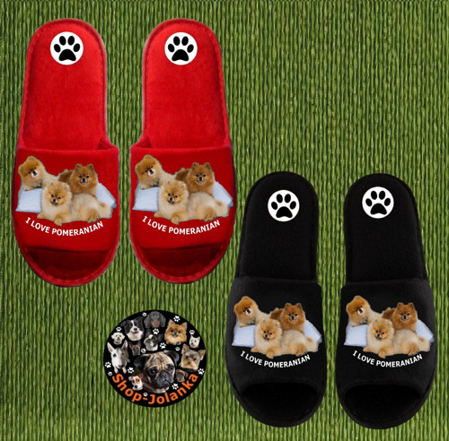 Špic Pomeranian Bačkůrky- Pantofle — foto 1