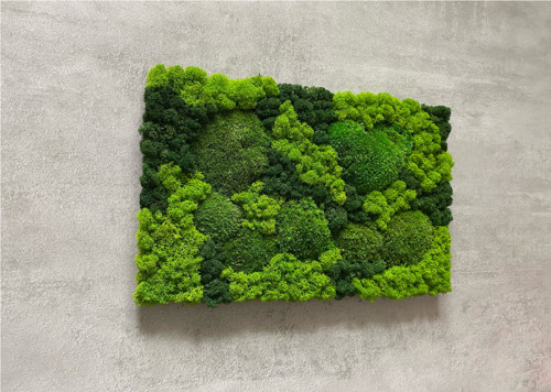 MECHOVÝ OBRAZ 40X25cm