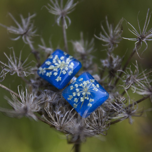 Náušnice divoká mrkev 10 mm — foto 1