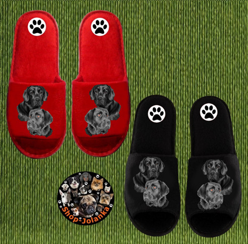 Labrador Bačkůrky- Pantofle