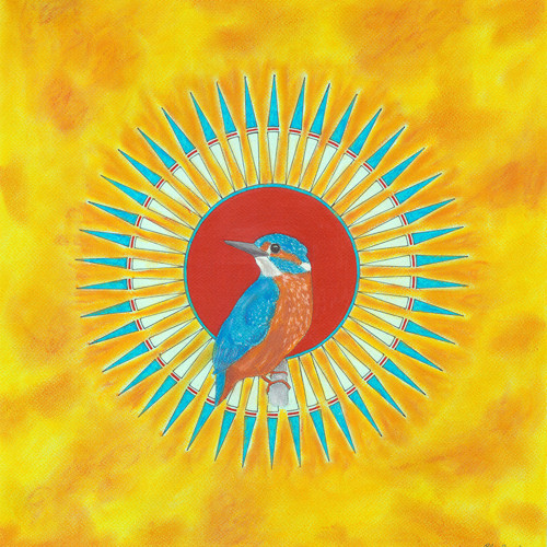 K poctě lednáčka - In honour of Kingfisher