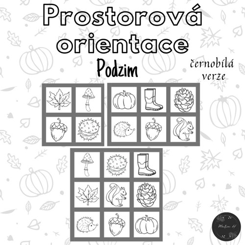 Podzim (černobílá verze), prostorová orientace