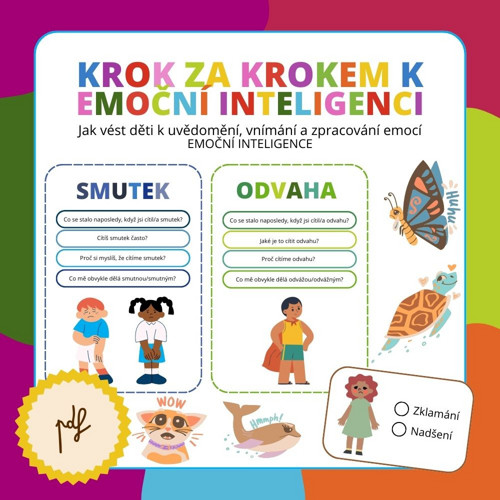 Krok za krokem k emoční inteligenci PDF