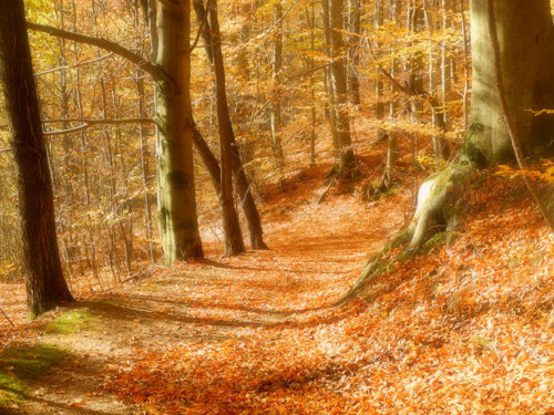 Podzim na horách — foto 1