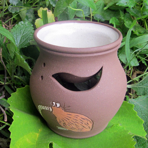 Aromalampa kivi