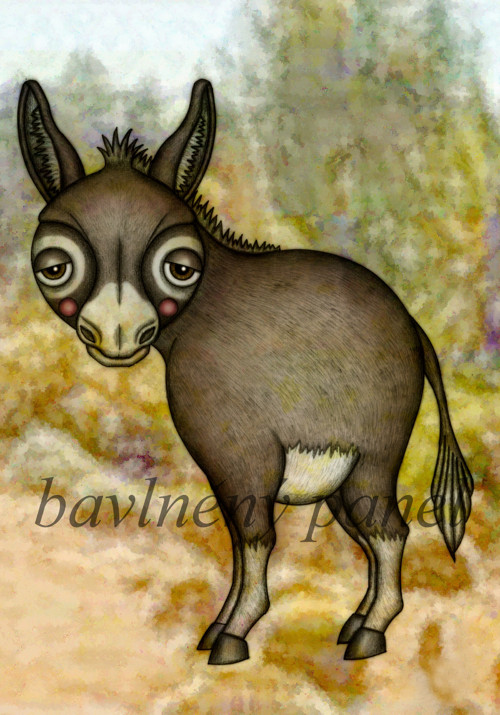 Bavlněný panel MZ 580 — foto 1