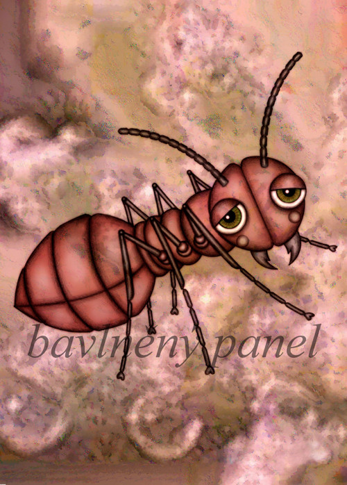 Bavlněný panel MZ 586 — foto 1
