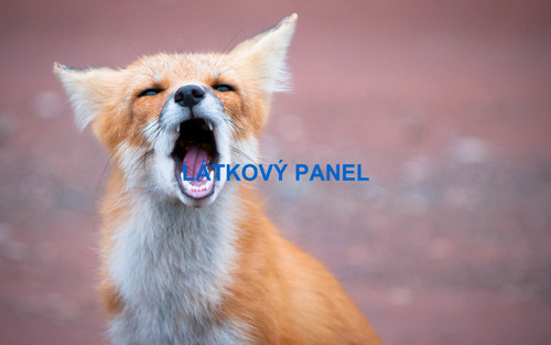 Bavlněný panel 15x25 cm- skladem — foto 1