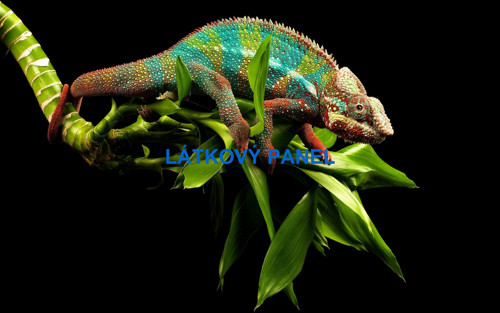 Bavlněný panel chameleon 16x25 cm- skladem
