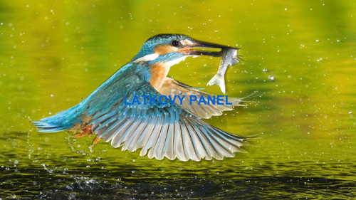 Bavlněný panel 11x20 cm- skladem — foto 1