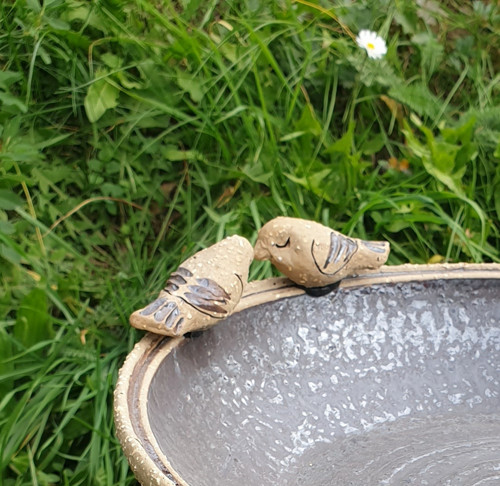Ptáčci na pítko — foto 1