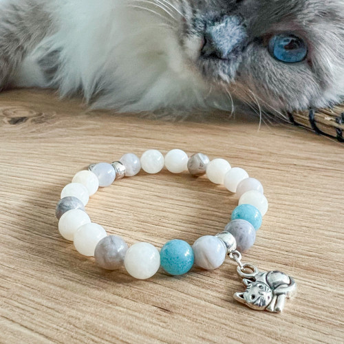 I love my kitty cat – ragdoll — foto 1
