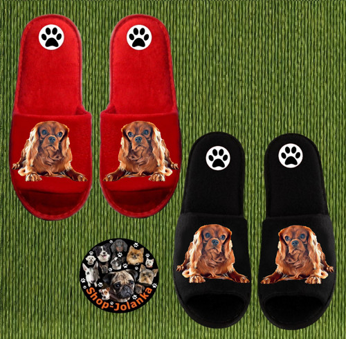 Kavalírek Bačkůrky- Pantofle