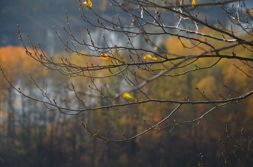 Podzimní - autorská fotografie