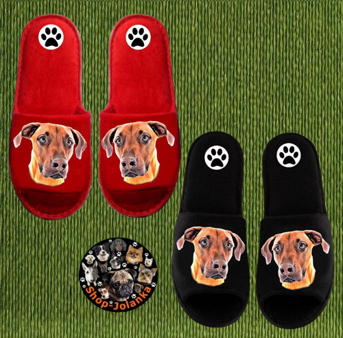 Rhodézský Ridgeback Bačkůrky- Pantofle — foto 1