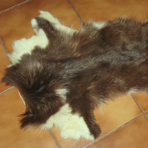 Přednožka 16569 — foto 1