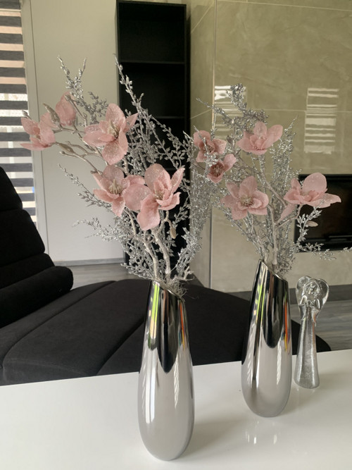 Zasněžená magnolie — foto 1