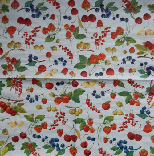 Letní ovoce 3928