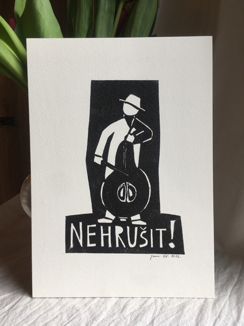 Nehrušit!!! — foto 1
