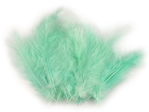 Pštrosí peří délka 9-16 cm (20ks) - mint