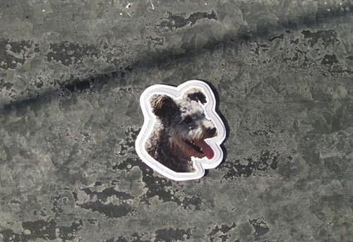 Magnet