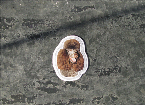 Magnet — foto 1