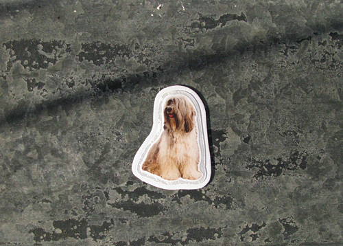 Magnet