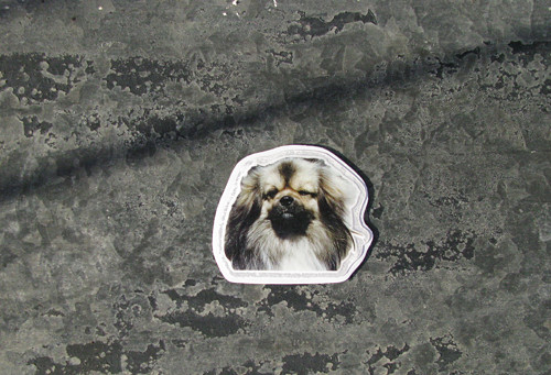 Magnet — foto 1