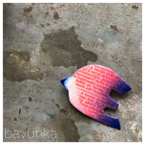 Ptáček — foto 1