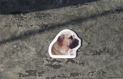 Magnet