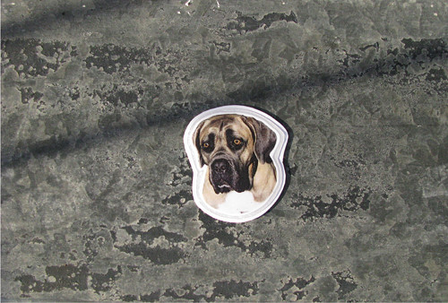 Magnet — foto 1