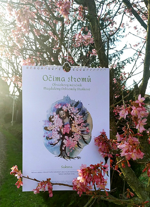 Obrázkový kalendář - měsíčník - Očima stromů
