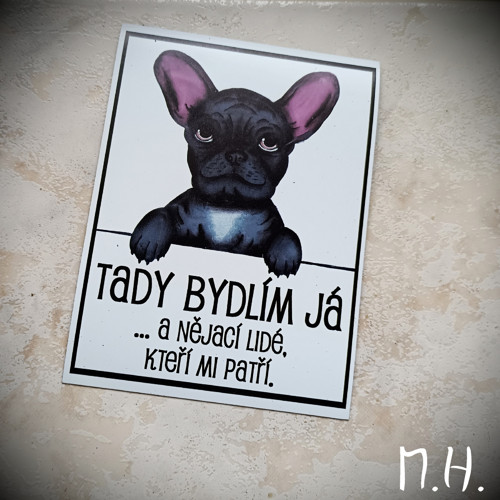 Tady bydlím já... buldoček - velká magnetka