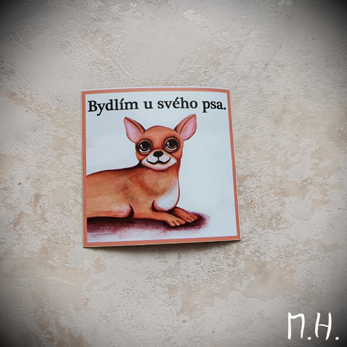 Bydlím u svého psa - čivava - magnetka