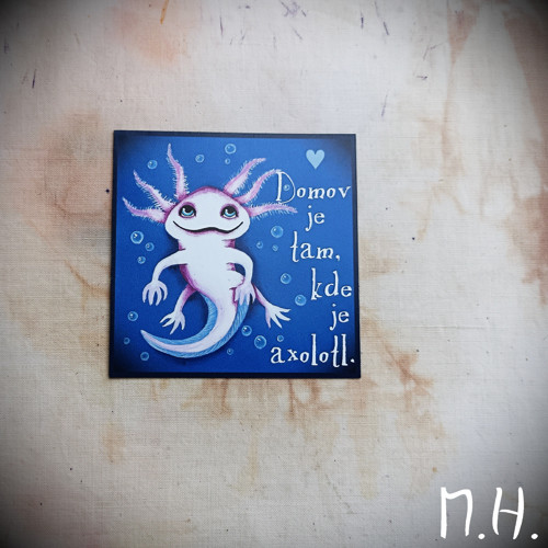 Domov je tam, kde je axolotl - magnetka