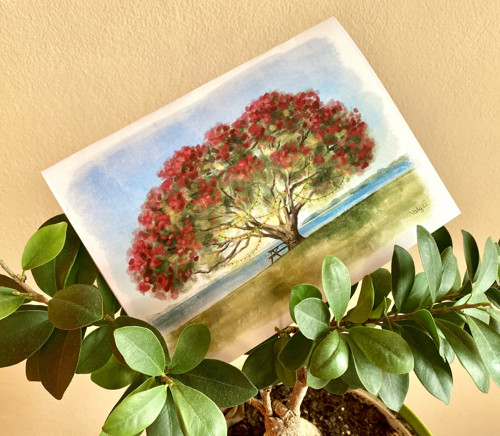 Vánoční přání z Nového Zélandu - Pohutukawa