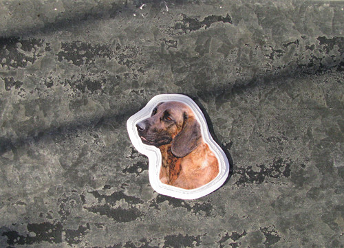 Magnet — foto 1
