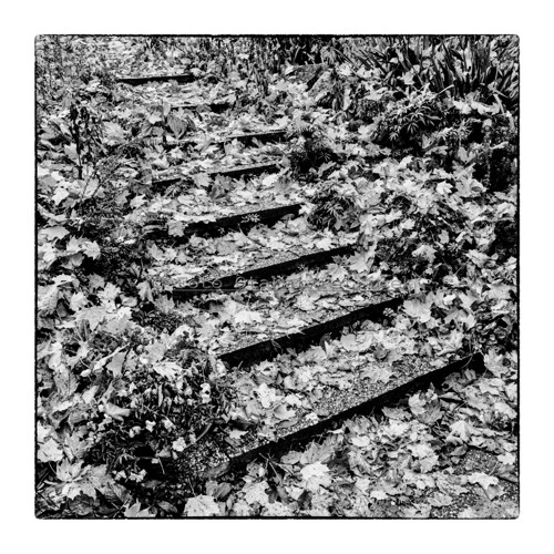 Schody do podzimu - fotografie 30x30cm